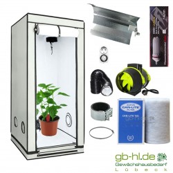 Starterset HOMEbox® Ambient Q60+ Taifun ESL 125 W Blüte