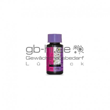 Bcuzz - Blüte Stimulator 100ml