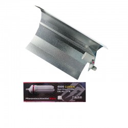 Taifun Energiespar Set 125 W Blüte