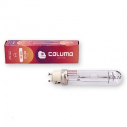 Caluma CMH 315 W Blüte 3000 K