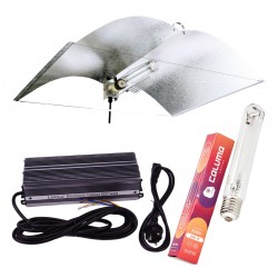 Adjust-A-Wings L Set Lucilu 600 W inkl. Leuchtmittel