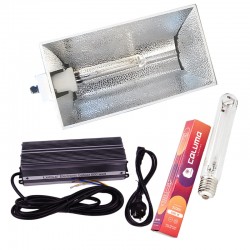Wide Beam Set Lucilu 600 W inkl. Leuchtmittel