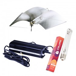 Adjust-A-Wings M Set Lucilu 600 W Dim inkl. Leuchtmittel