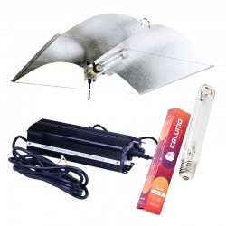 Adjust-A-Wings L Set Lucilu 600 W Dim inkl. Leuchtmittel