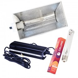 Wide Beam Set Lucilu 600 W Dim inkl. Leuchtmittel