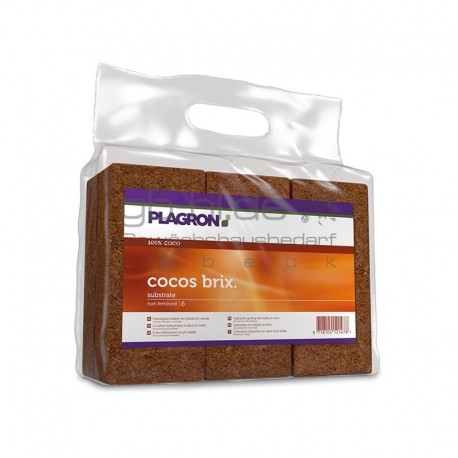 Plagron Cocos Brix 6 Stk