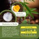 Granny's Organic Grow Dünger 500 ml