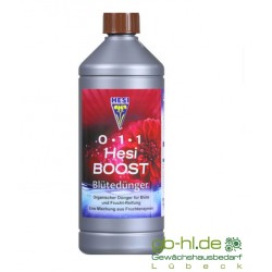 HESI Boost 1 l