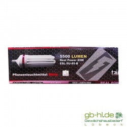 Taifun AGRO ESL-5U-85-B Blüte
