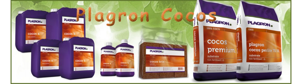 Plagron Cocos